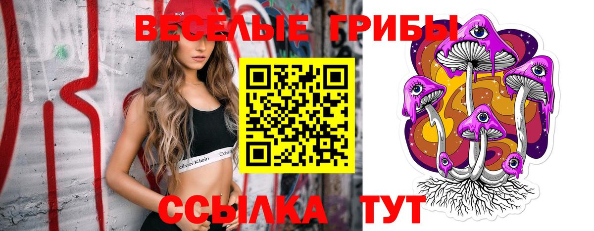 Галлюциногенные грибы MAGIC MUSHROOMS Похвистнево